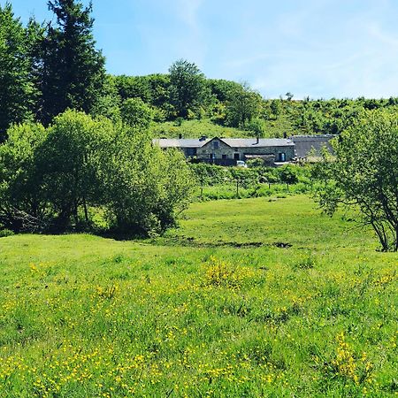 Ranch Du Haut-Languedoc La Salvetat-sur-Agout ภายนอก รูปภาพ